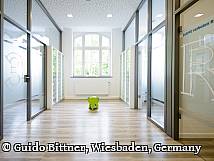 Heller Flur einer modernen Zahnarztpraxis mit Glaswänden, Holzfußboden und einem grünen Spielzeug-Elefanten in der Mitte.